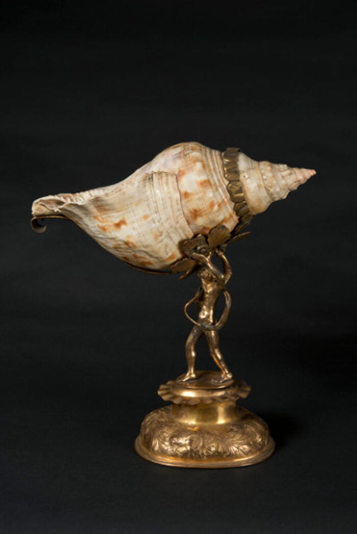 Coupe nautile, XVIIIe siècle <br/> &copy;  madd Bordeaux - L. Gauthier