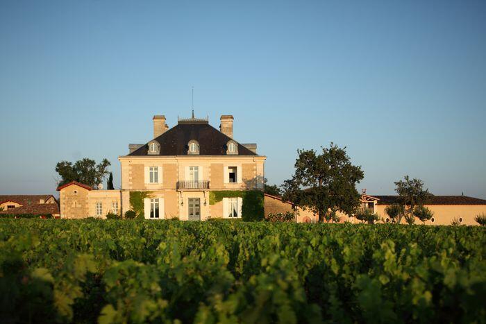 Le vignoble - Château Haut-Bailly<br/> &copy; Clay McLachlan