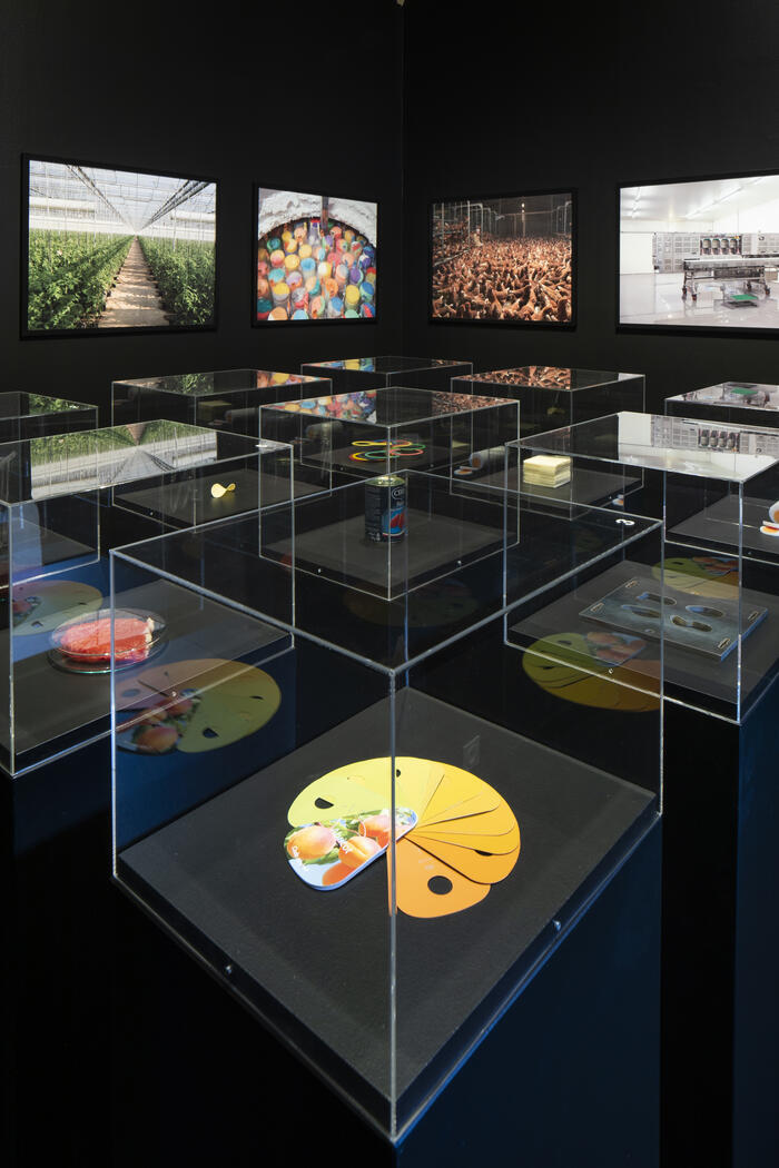 View of the exhibition - Resources Bordeaux cultural season / Bordeaux 2021 <br/> &copy;  Rodolphe Escher