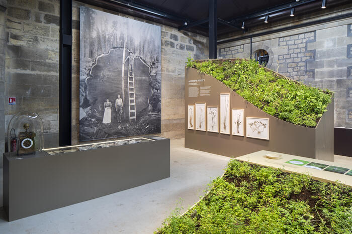 Vue de l'exposition - Saison culturelle Ressources / Bordeaux 2021 <br/> &copy; Rodolphe Escher
