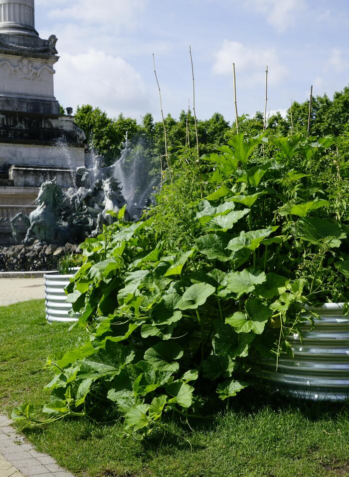 Gardens in the city – "The lands of possibilities", Quinconces, Bordeaux Garden designed and sponsored by Odile Fabrègue and Christian Varin, Ahalen Lurrak farm (64) - Resources cultural season<br/> &copy; madd-bordeaux